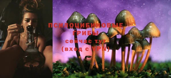 apvp Майский